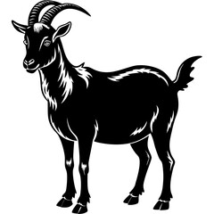 goat on white background