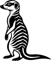 illustration of a meerkat on white