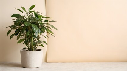 plant in a vase Potted Green Houseplant on Left with Beige Copy Space