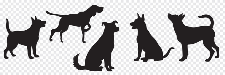 Set of silhouettes of dogs of different breeds in different poses. Set of pet silhouettes. Vector illustration. veterinary, Dog show, pet store, Isolated on white background. Variety dog silhouettes.