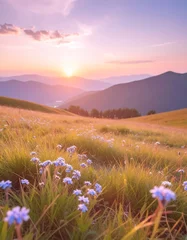 Fotobehang Green grass with wild blue flowers in the mountains at sunset. Beautiful summer landscape © Stefan Schurr