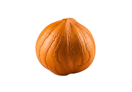 Single hazelnut isolated on transparent background