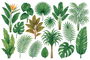 A watercolor set of tropical leaves including monstera palm banana and other green foliage elements