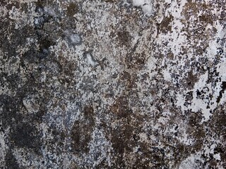 A heavily textured, mottled surface, likely concrete or stone, showing dark and light areas, possibly due to age or weathering