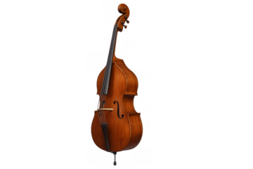 Classic double bass isolated on transparent background with clipping path