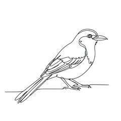 Line art. Bird isolated on white in vector illustration. Bird concept logo in line art. Continuous one line drawing of bird silhouette isolated on white background.