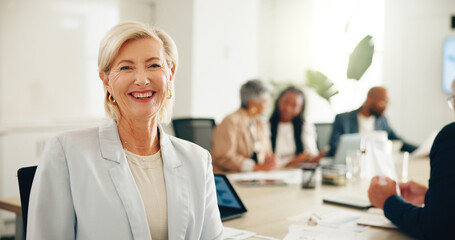 Mentor, portrait and meeting with business woman in office for strategy, brainstorming and...