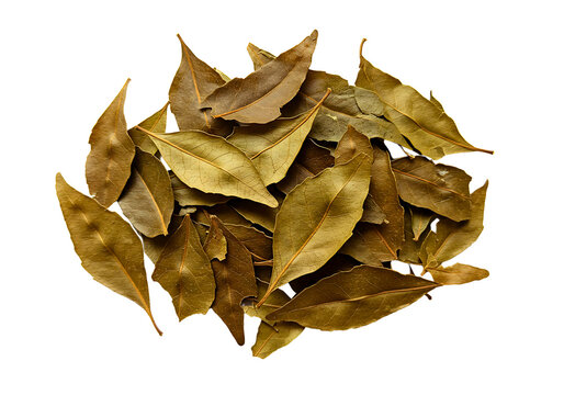 Dried bay leaves pile close up transparent  background