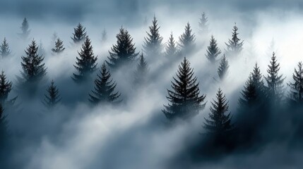 Breathtaking Beauty of Scenic Landscapes Concept. Misty Forest Landscape with Tall Pine Trees and Soft Fog Covering the Ground in Dramatic Atmosphere