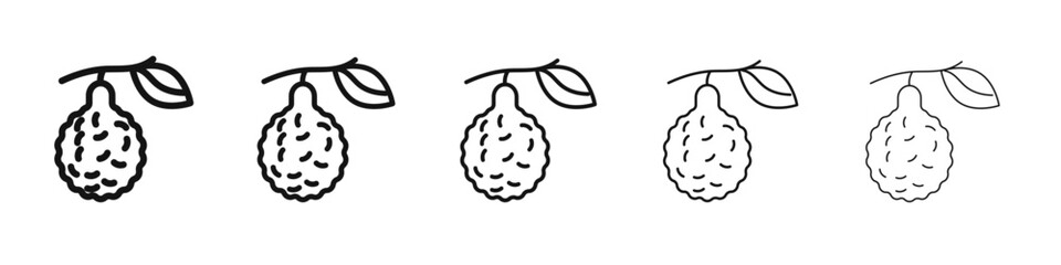 bergamot icon vector outline set illustration sign