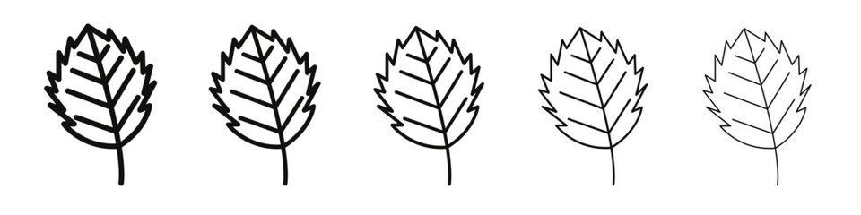 Birch leaf icon vector outline set illustration sign