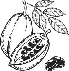 Organic fruit and vegetable vector illustrations: a sweet, fresh, ripe apple and pear with green leaves, perfect for healthy food and nature designs