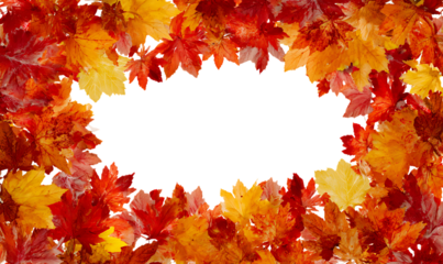 Autumn leaves frame border design isolated on transparent background