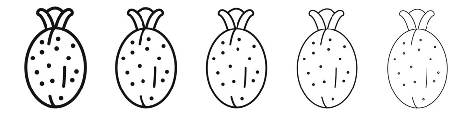 Feijoa icon vector outline set illustration sign