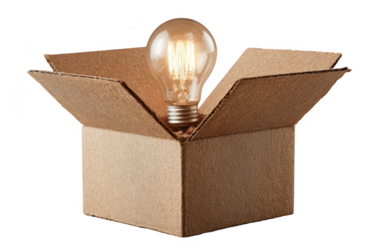 Idea in Cardboard Box