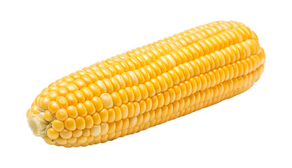 Corn cob isolated on transparent background
