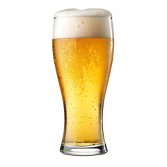 Cold golden lager beer in a frosty pint glass with a frothy head, isolated on white for a refreshing beverage shot
