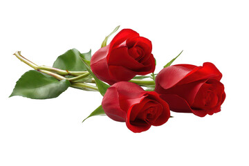 Red roses bouquet image