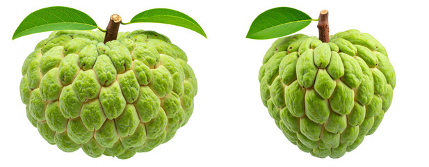 Obraz premium Whole Fresh Custard Apple with Green Bumpy Skin, isolated on transparent background PNG