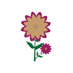 Simple illustration of two blooming flowers