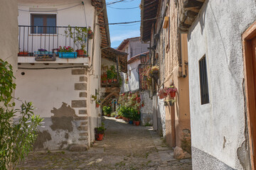 Fototapeta premium Cobbled alley in the Jewish quarter of Hervas, Extremadura, with whitewashed houses and flower pots adorning their walls