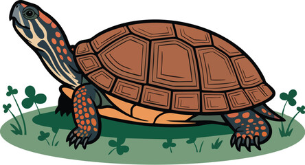 Illustrative Vector Turtle