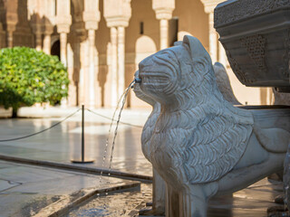 This is what you see inside the Alhambra Palace in Granada, Spain.