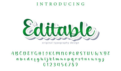 Editable Font – Stylish Script Typeface with Bold Modern Brush Lettering
