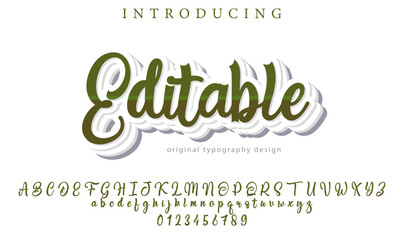 Editable Font – Stylish Script Typeface with Bold Modern Brush Lettering