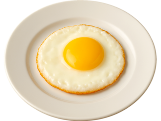 One perfectly fried egg, cooked just right.