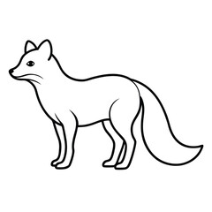 Detailed line drawing of an arctic fox in a standing pose