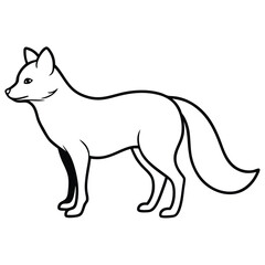 Detailed line drawing of an arctic fox in a standing position