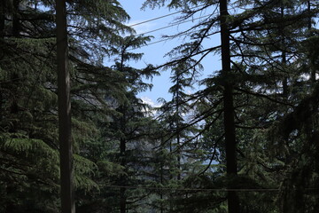 Mountains