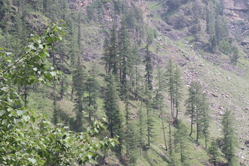 Mountains