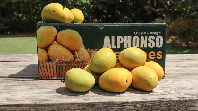 Alphonso mango heap stacked in a box of mangoes