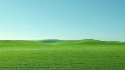 Fototapeta premium Green Field With Blue Sky Landscape Scenery Grassy Hill View