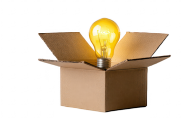 Idea in a Cardboard Box (1)