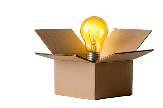 Idea in a Cardboard Box (1)