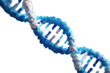 DNA Structure Visualization (6)