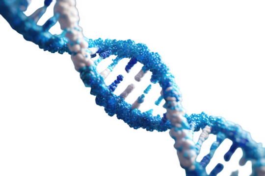 DNA Structure Visualization (6)