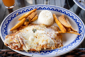 platillo de comida mexicana 