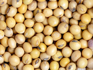 The High-resolution photo of soybeans, isolate on white background