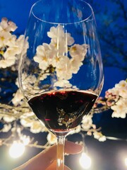 벚꽃 와인잔