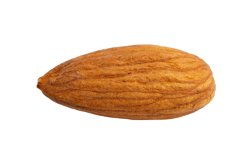The High-resolution photo of almonds taken with a focus stacking technique.
