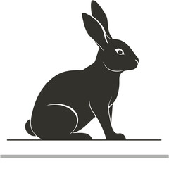 black and white rabbit