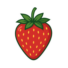 strawberry fruit vector illustration