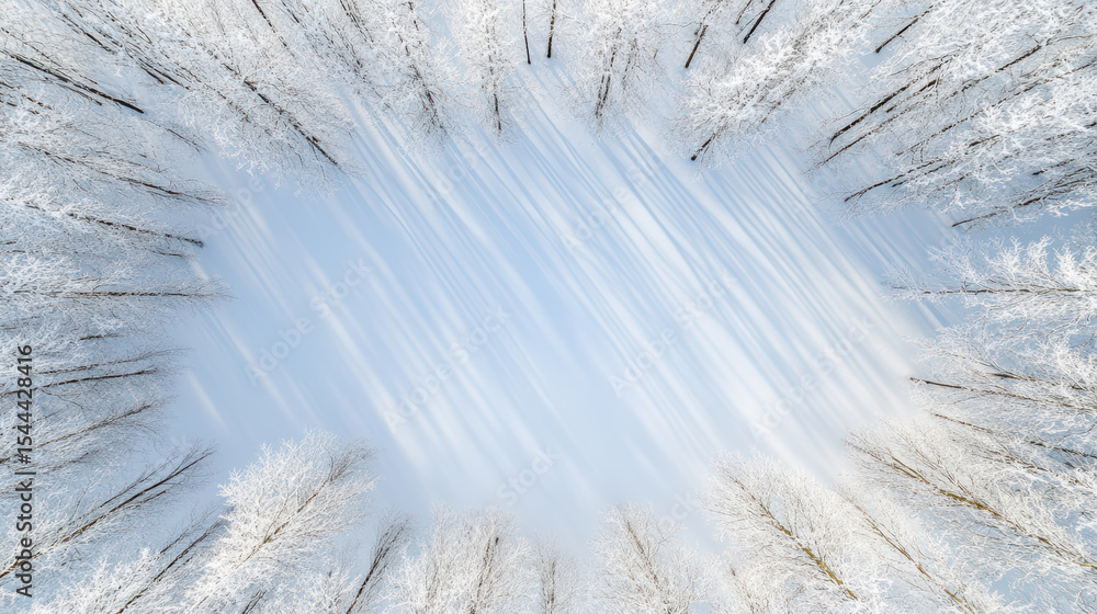 Poster aerial view of frozen forest with snow covered trees and soft shadows ground, creating serene