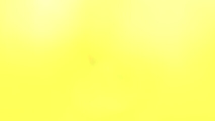 Abstract background. Herd of cows grazing on green grass in the middle of a rice field with hot sunlight near noon. Gradient yellow blur. In Central Thailand. Cow, Farm, Grass, Field, Calf, Meadow, 