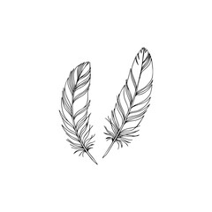 Obraz premium Minimalist Black Fallen Feather Silhouette on White Background