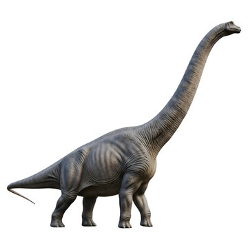 Detailed 3d render of a mamenchisaurus dinosaur on white background